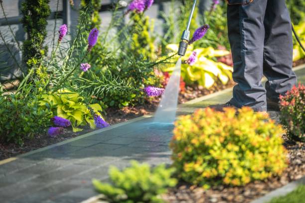 Best Pool Deck Cleaning  in Charter Oak, CA